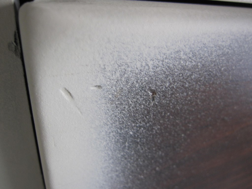 Paint Spray Close Up